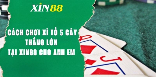 Cách Chơi Xì Tố 5 Cây Thắng Lớn Tại Xin88 Cho Anh Em